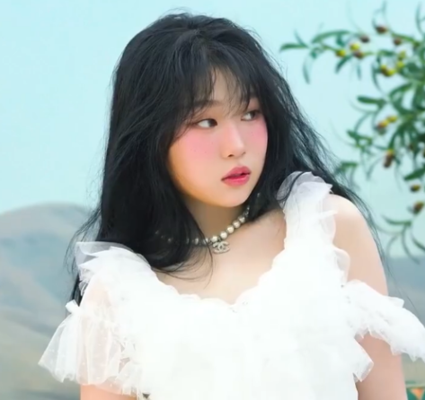 小沈阳女儿想成为下一个Jennie 沈佳润以K-pop solo歌手身份在韩国出道
