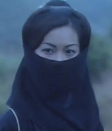 木婉清