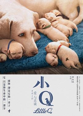 小Q