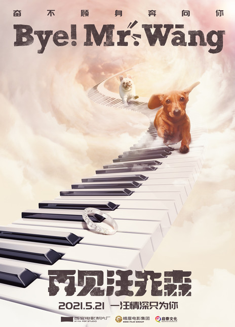 再见汪先森