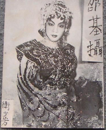 卫少芳