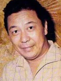 魏苏