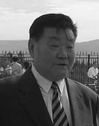 邱树森