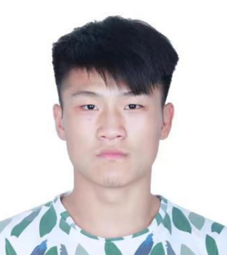 柳文龙