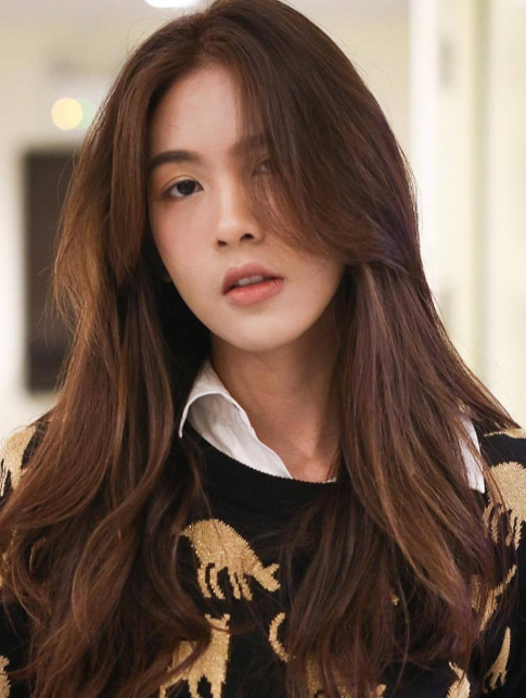 阿妮莎·努格拉哈
