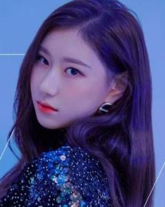 李彩领