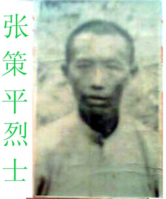 张策平