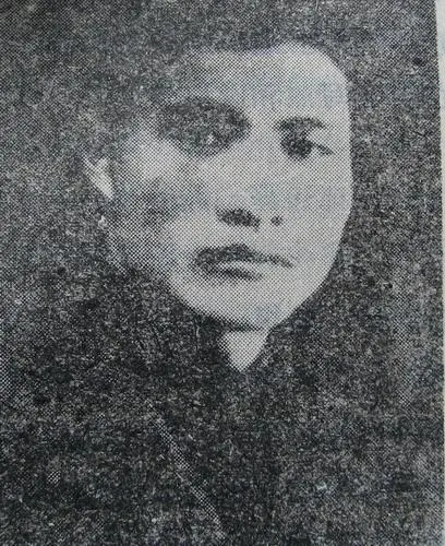 胡畏