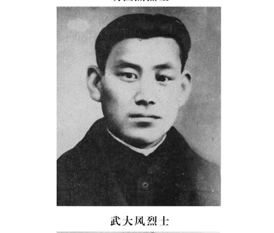 武大风