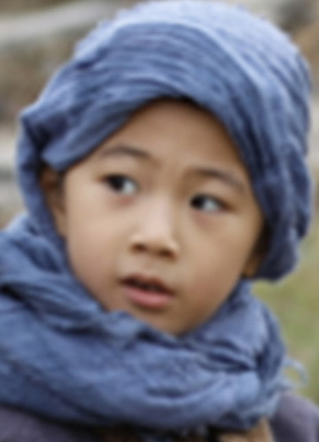 吕近源