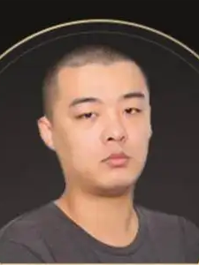那一只蚊子