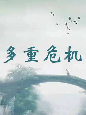 多重危机