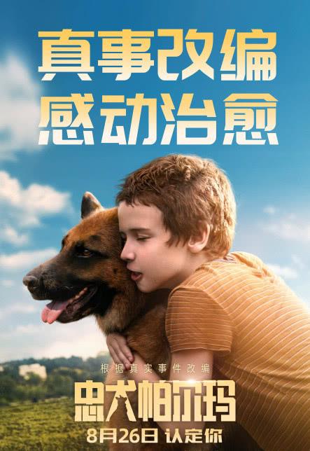 忠犬帕尔玛