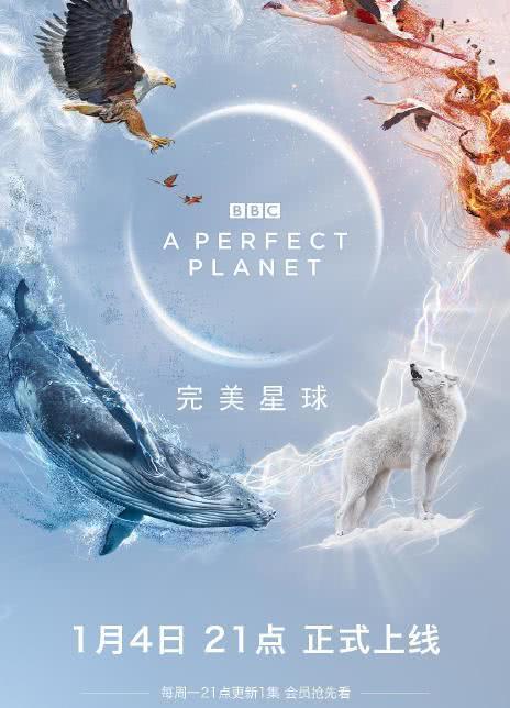 完美星球