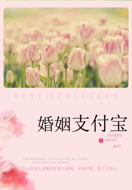 婚姻支付宝
