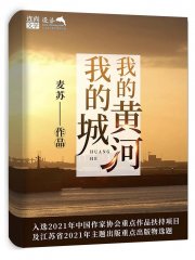 我的黄河我的城