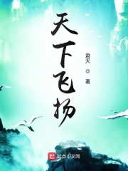 天下飞扬