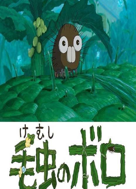 毛毛虫波罗