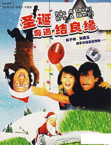 圣诞奇遇结良缘