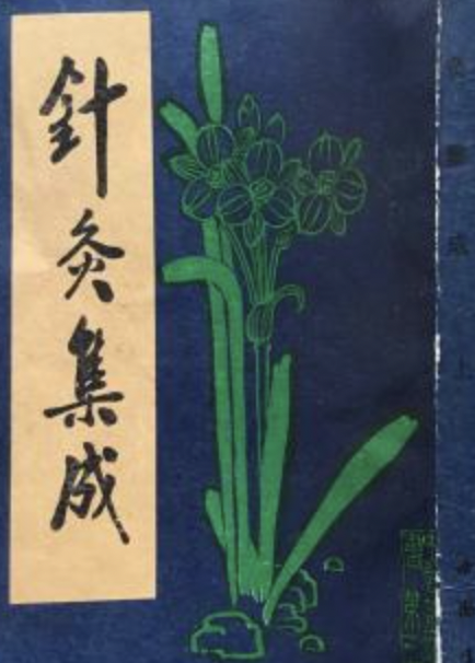 针灸集成