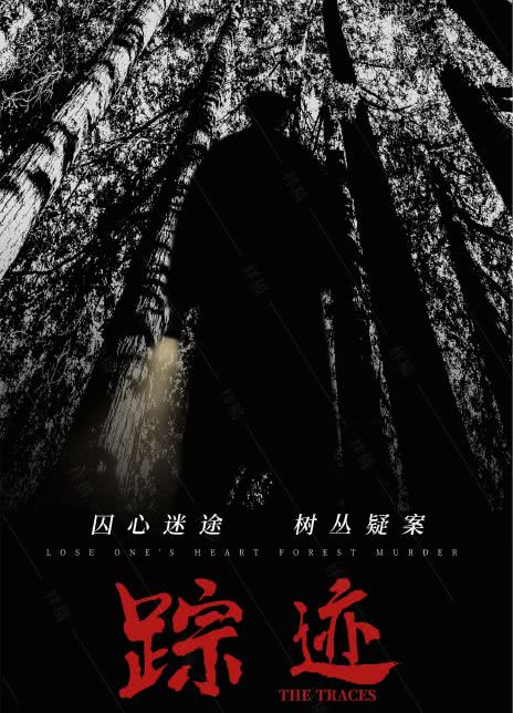 踪迹