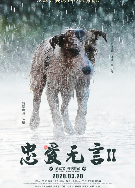 忠爱无言2