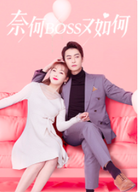 奈何BOSS又如何