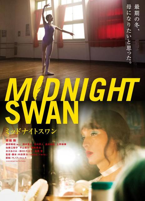 午夜天鹅