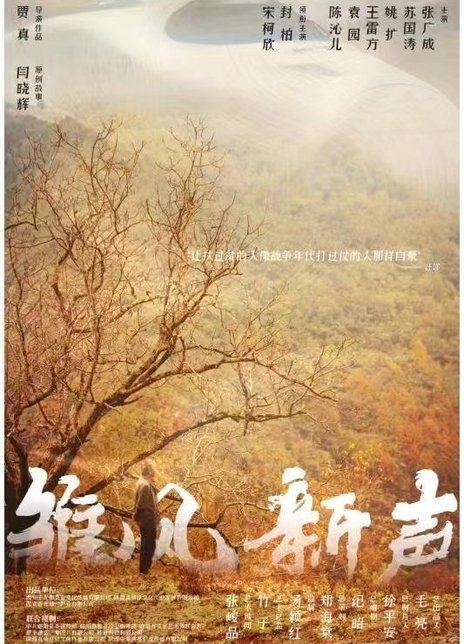 雏凤新声