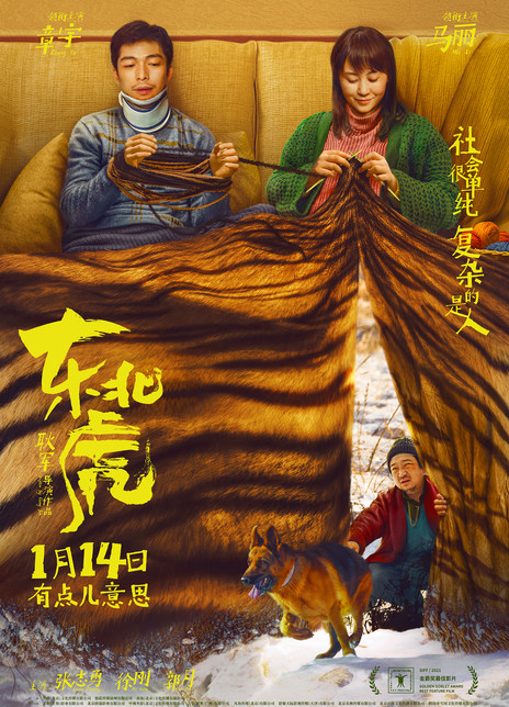 东北虎