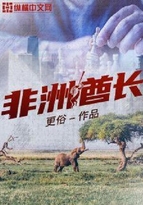 非洲酋长