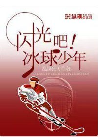 闪光吧，冰球少年