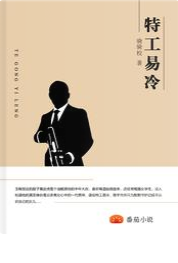特工易冷