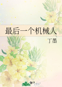 最后一个机械人