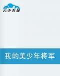 我的美少年将军