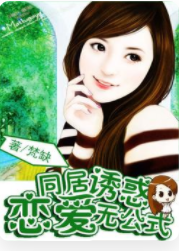 恋爱无公式