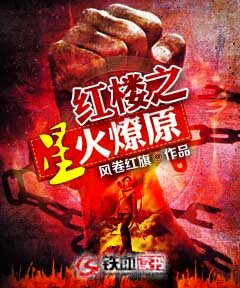红楼之星火燎原