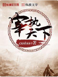 宰执天下