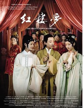 红楼梦2010